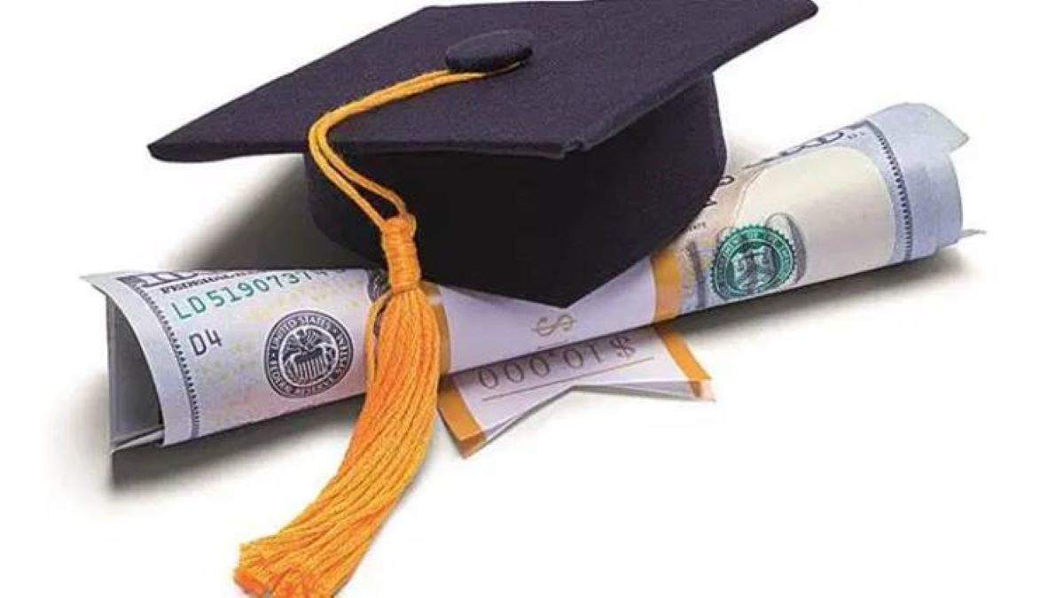University Courses